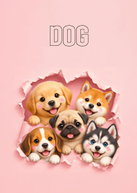 Lovely Dog Gang in Pink Theme
