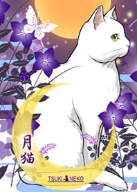Cat under the moon TSUKINEKO