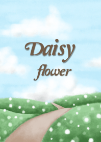 Daisy flower.