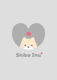 Shiba Inu2 Tulips - gray