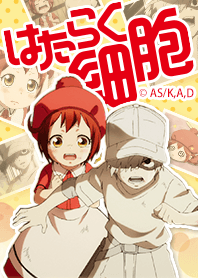 Cells at Work! Vol.13