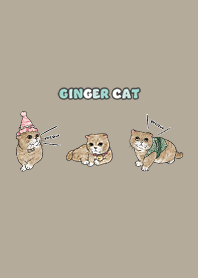 gingercat8 / khaki