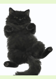 Black Cat White Light Green