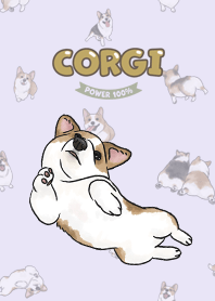 corgicorgi8 - light purple