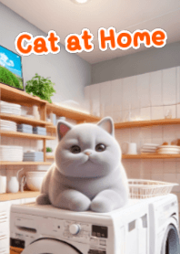 ランドリールームのふわふわ猫 V.1