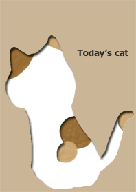 Today is cat.Calico cat