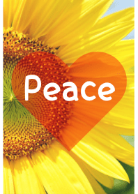 ＝Sunflower＝ 23