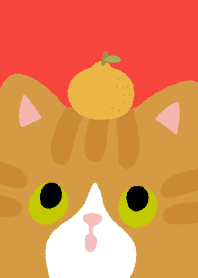 แมวส้มนำโชค_สีขาว/สีแดง