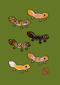 我養的可愛守宮(抹茶綠色)