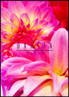 -DAHLIA flower- MEKYM 39