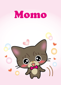 brown tabby cat Momo