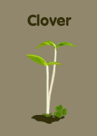 Clover 3 leaf