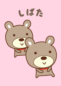 Cute bear theme for Shibata / Sibata
