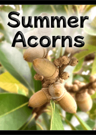 Summer Acorns Theme (Black)