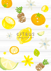 CITRUS SIMPLE COLLECTION@SUMMER