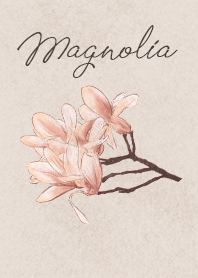Magnolia Flower