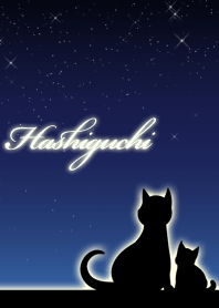 Hashiguchi parents of cats & night sky
