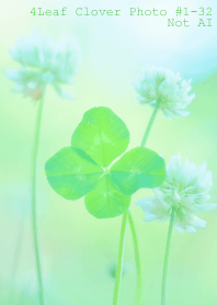 4leaf Clover Photo#1-32Not AI