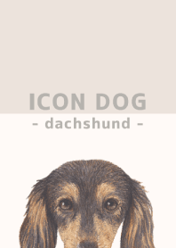 ICON DOG - dachshund - BEIGE/08