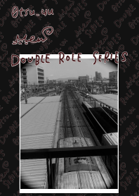 DOUBLE ROLE SERIES #20.