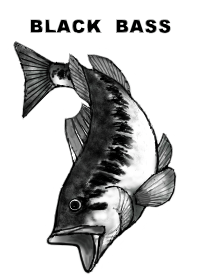 ブラックバス3