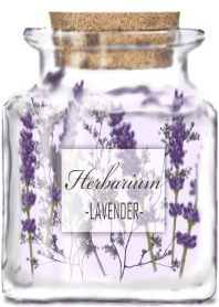 Herbarium -Lavender-