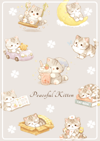 brown, laid-back mackerel tabby kitten