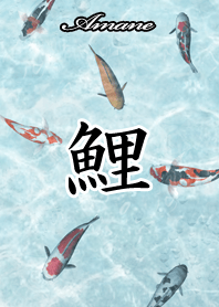 Amane Japanese style carp