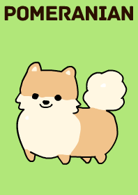 ポメラニアンの着せ替え