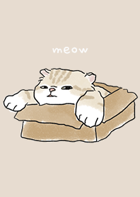 neko drawing4 - almond