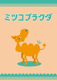 The camel theme