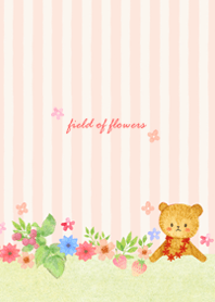 field of flowers-teddy bear