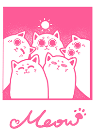 meow-pink-white-line-theme-line-store