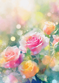 Beautiful rose flower(R2481)