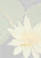 Water lily Theme ver.Japan 1