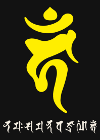 BONJI zodiac [haM] BLACK YELLOW (0375