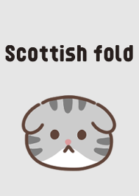 Cute Scottish Fold Theme 3