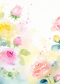 Beautiful rose flower(R4240)