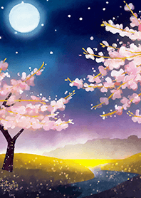 Beautiful night cherry blossoms#1360