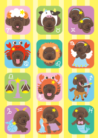 Toy Poodle Moco 12 Zodiac Signs Theme