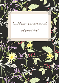 Little natural flowers 12 SUMMER