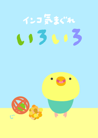インコ気まぐれ いろいろセキセイ