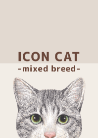 ICON CAT - Mixed breed cat - BROWN/14
