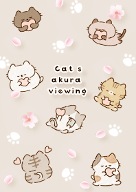 brown Cat sakura viewing 02_2