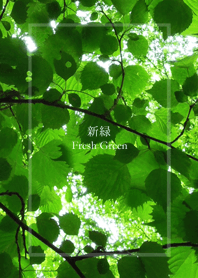 新緑－Fresh Green