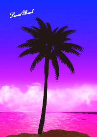 Sunset Beach 309