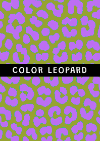 COLOR LEOPARD THEME @33