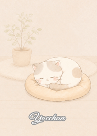 Cozy Lazy Cat: Yocchan