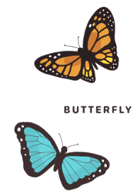 The Butterfly pattern