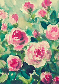 Beautiful rose flower(R4663)